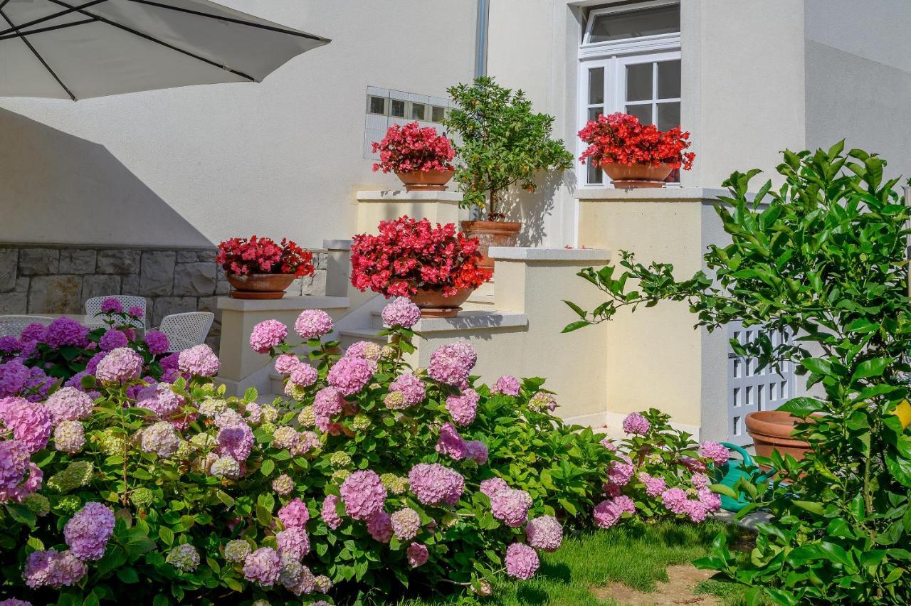 Palace Schoen Milesi - Esense Of Prestige - Private Pool - Free Parking - Old Money Style Luxury Rooms - Walking Distance To The Old Town, The Beach And All Amenities - Buralux Properties Split Exterior photo